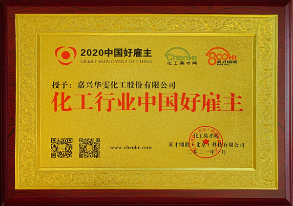 荣誉证书06
