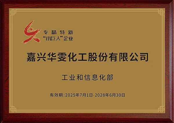 小巨人奖
